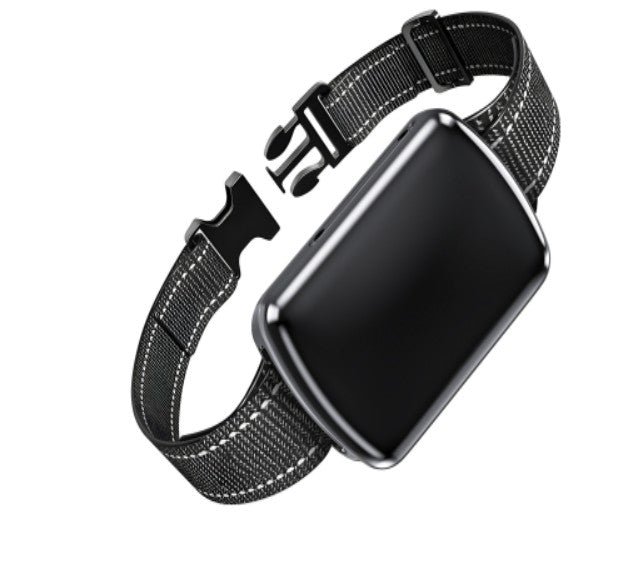 Collier GPS Chien Tracker 4G | Étanche IP67