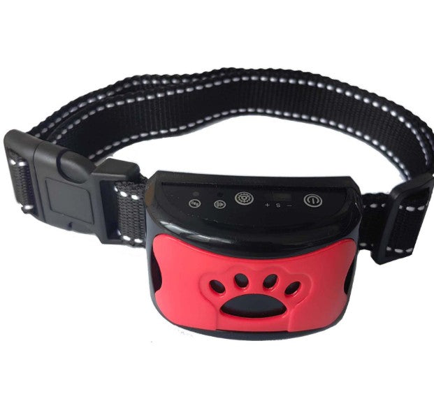 collier de dressage pour chien efficace