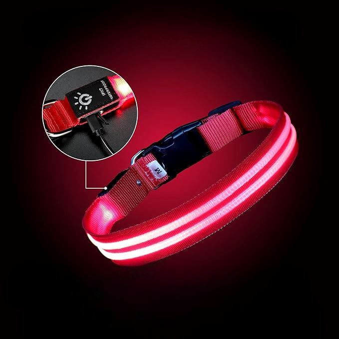 Collier Chien - LEDCollarDog™ - Rose - Chien dynamic