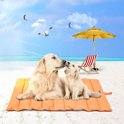 deux labradors tapis pour chien impermeable couchent bord mer