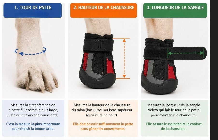 guide des mesures chaussure chiens hiver version finale