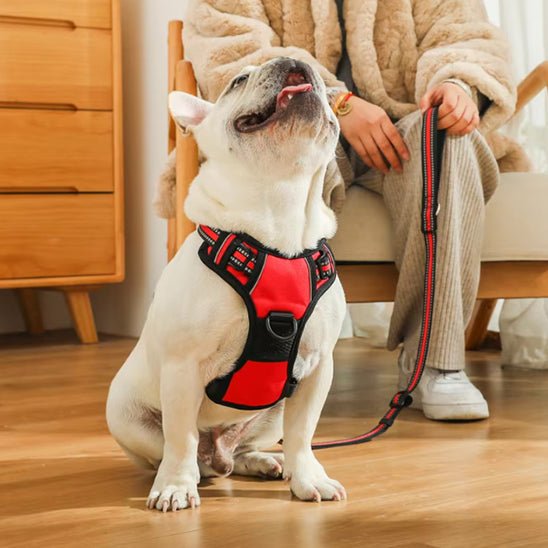 Harnais pour chien|confortable harness - Chien dynamic
