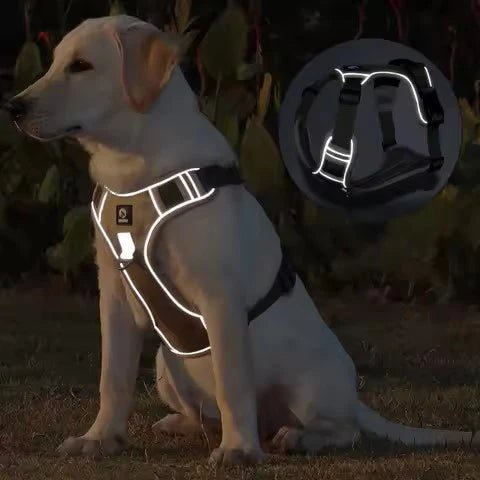 Harnais pour chien|confortable harness - Chien dynamic