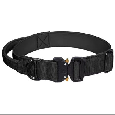 noire boucle solide collier tactique chien 120 g leger