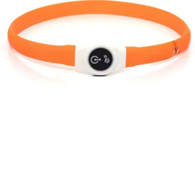 orange vif promenade nocturne collier lumineux chien