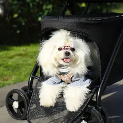 Poussette pour Chien - PetStroller™ - Noir - Chien dynamic