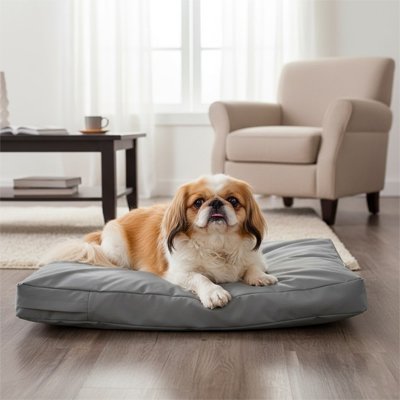 race shih tzu allonge coussin pour chien ergonomique