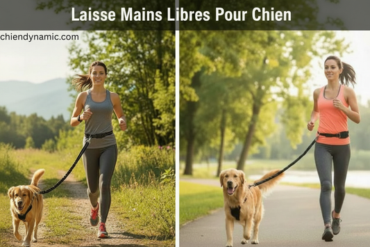 femme courant avec laisse mains libres pour chien
