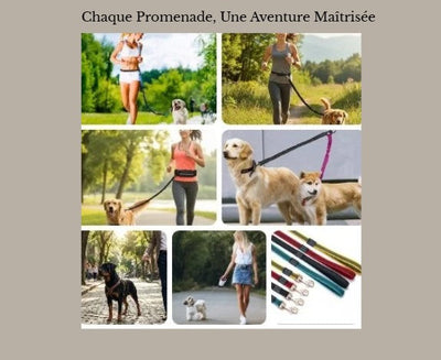 laisse pour chien solide retractable ajustable et securisee