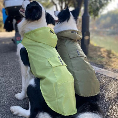 2 borders collie portent chacun manteau chien vert jaune