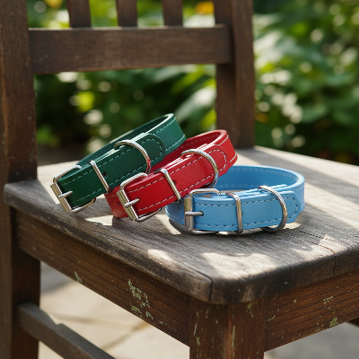 3 colliers pour chien vert rouge bleu sur chaise