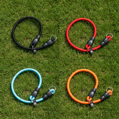 4 colliers coulissants chien gazon differentes couleurs 