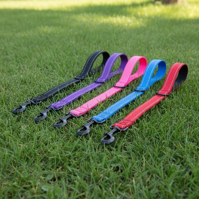 5 differentes couleurs laisses chiens courtes sur gazon 