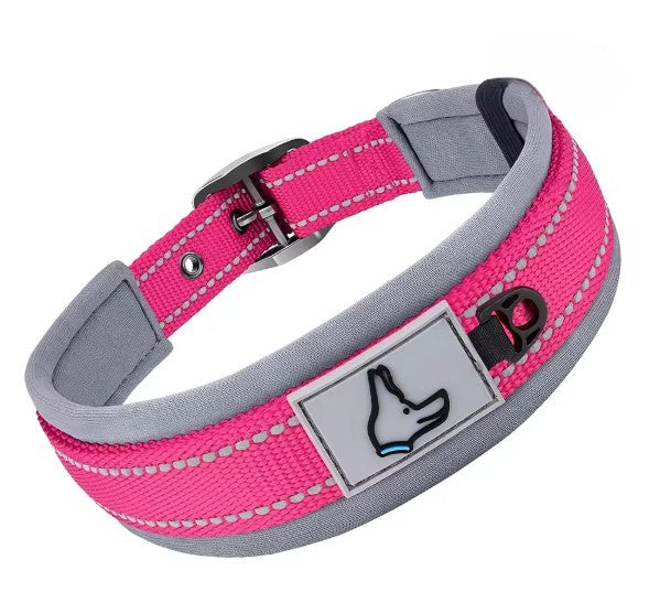 collier pour chien rembourré en néoprène