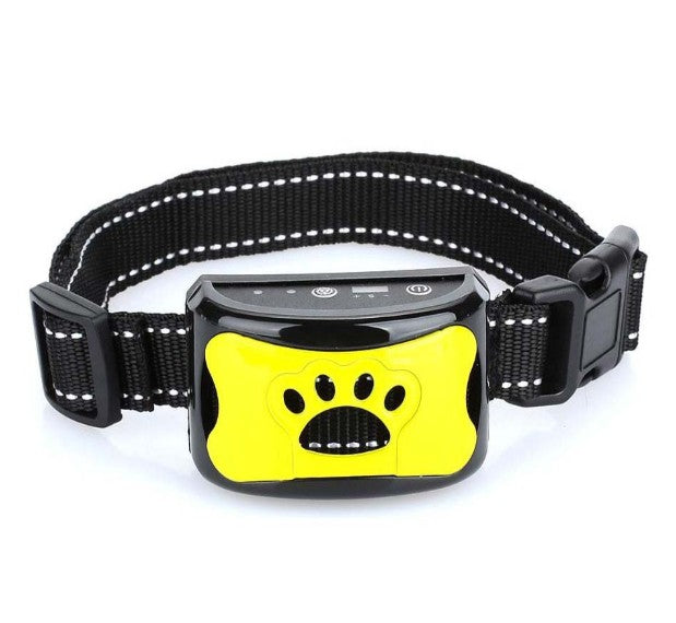 collier de dressage pour chien efficace