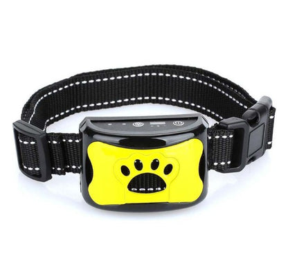 collier de dressage pour chien efficace