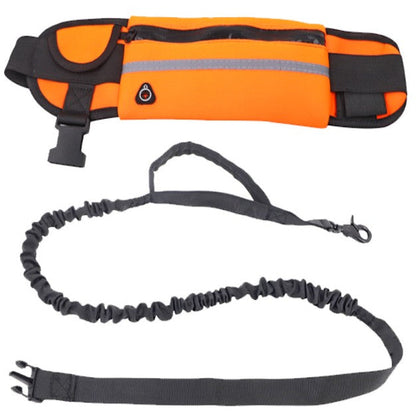 laisse canicross avec sac