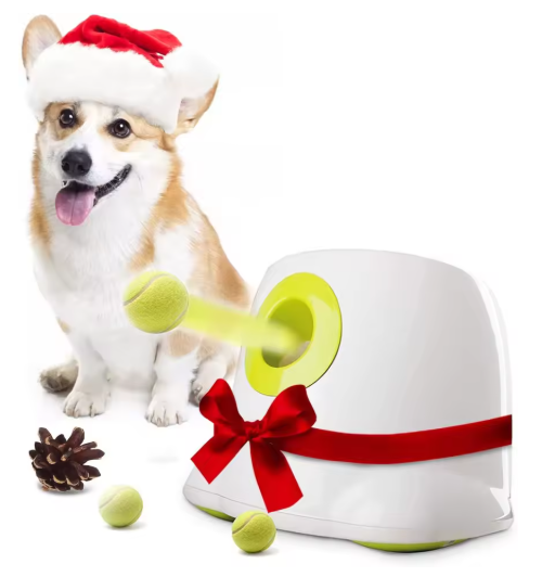 Lanceur de balle pour Chien Automatique | Innovant