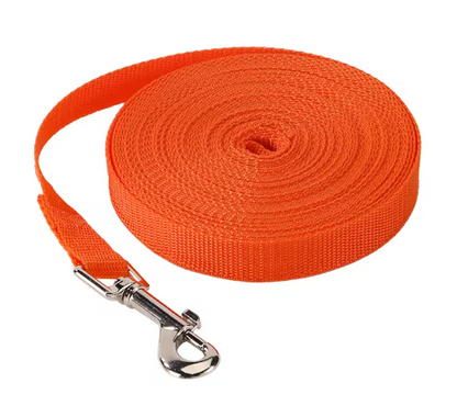 Longe pour chien imperméable en biothane | Robuste & Ajustable