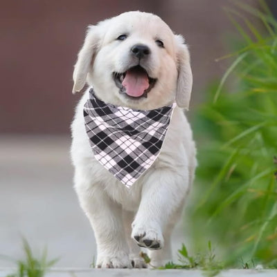 accessoire promenade elegant bandana chien confort doux