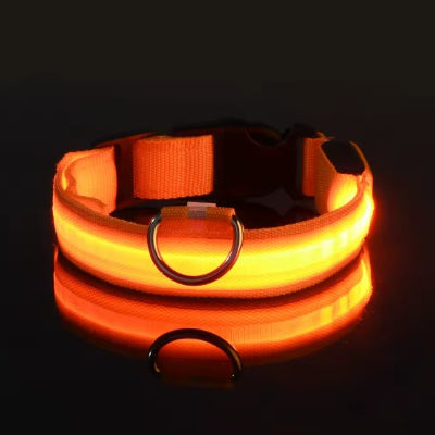ajustable orange etanche collier lumineux pour chien