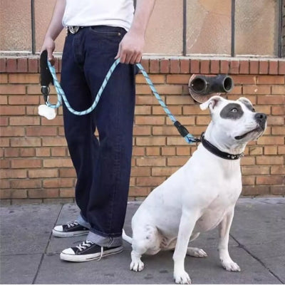 amstaff equipe par longe pour chien  bleue noire