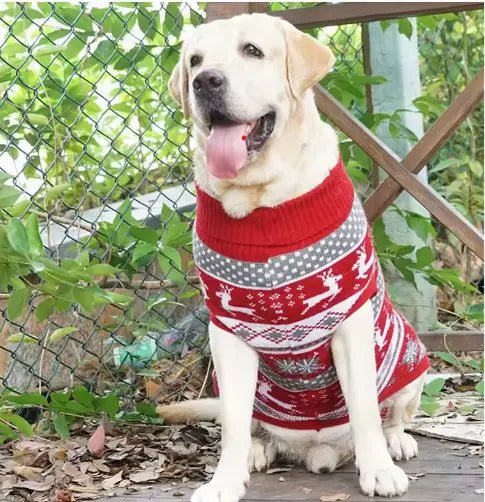 assis porte jardin labrador porte pull pour chien rouge jacquard 