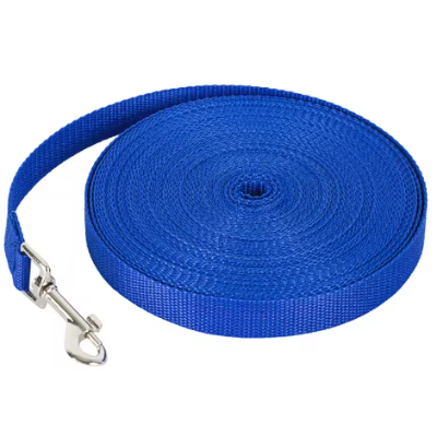 avec boucle antirouille longe pour chien bleue