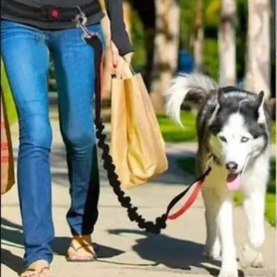  avec laisse chien main libre elastique husky fait course avec maitre