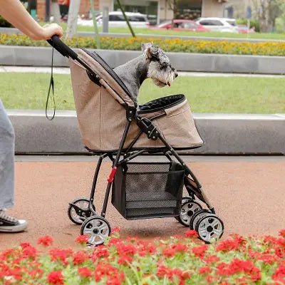 balade en parc avec poussette chien beige