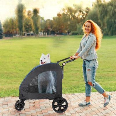 balade en parc avec poussettes pour chiens bleu