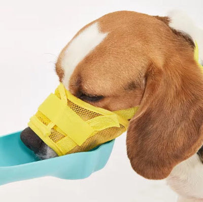  beagle boit avec museliere respirante confort