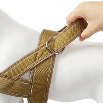 beige dore poignee controle harnais chien anti traction