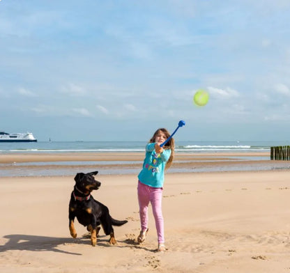 berger allemand vise lanceur de balle pour chien