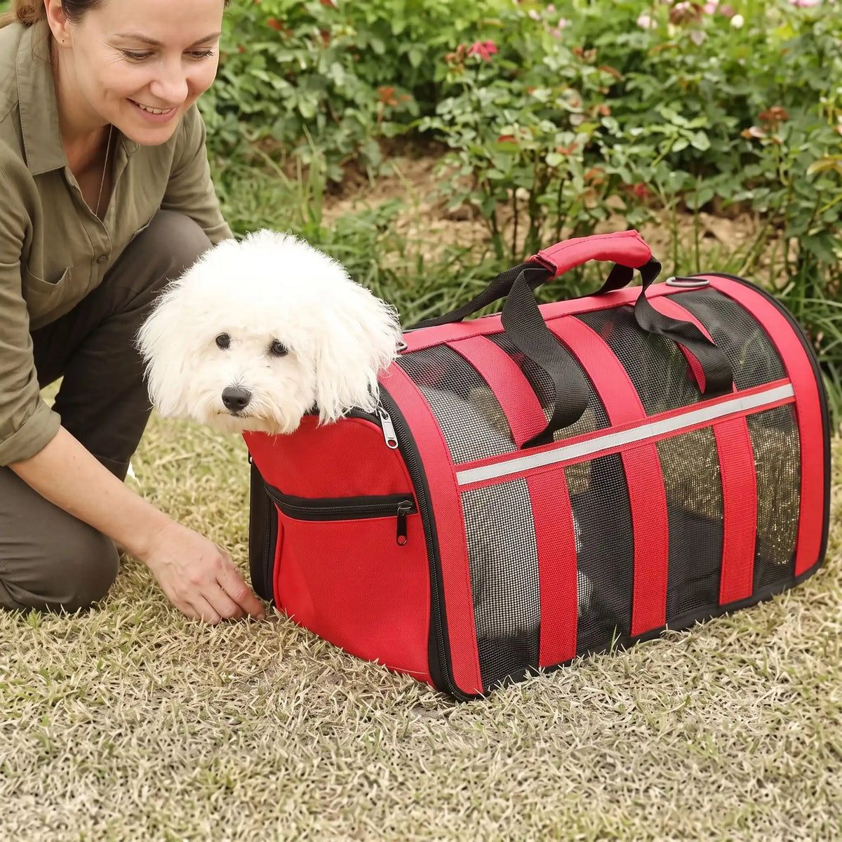 bichon sorte tête du sac de transport pour chien rouge