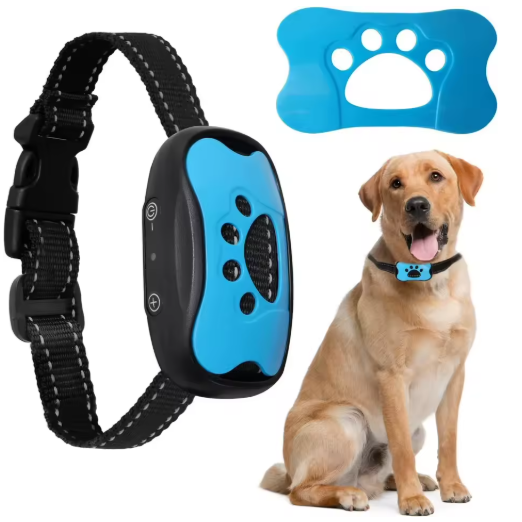bleu modes multiples collier de dressage pour chien