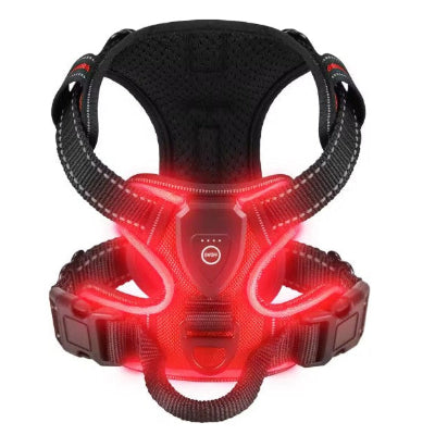 boucle de securite renforcee  harnais lumineux led chien rouge