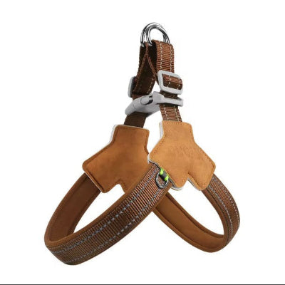 boucle doree harnais en y chien cuir marron