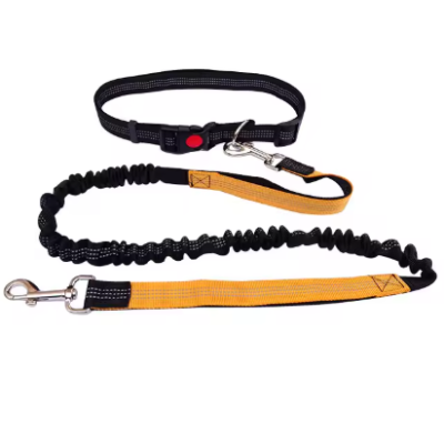 boucle metal laisse chien main libre orange