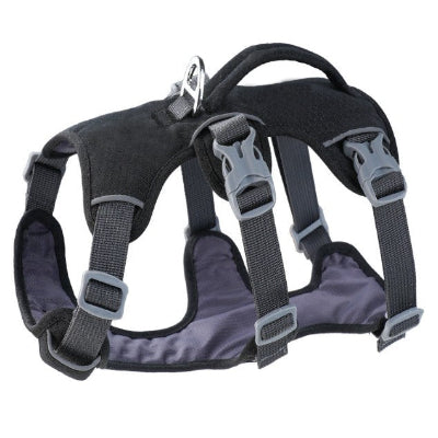 boucles verrouillage renforcees harnais chien randonnee noir