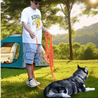 camping bruno husky porte longe pour chien orange