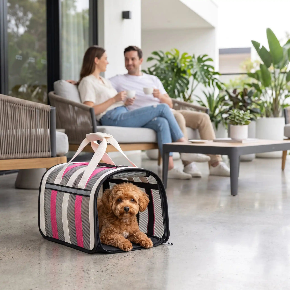 caniche dans sac de transport pour chien rose sur terrase avec deux personnes