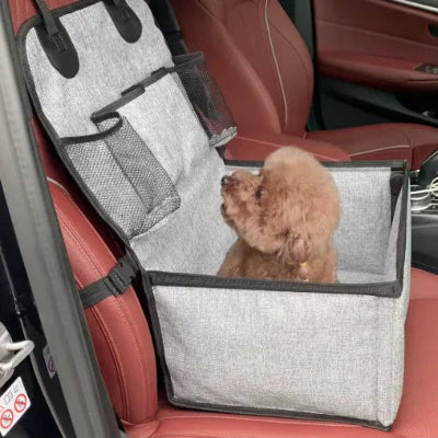 caniche maron dans siege auto pour chien