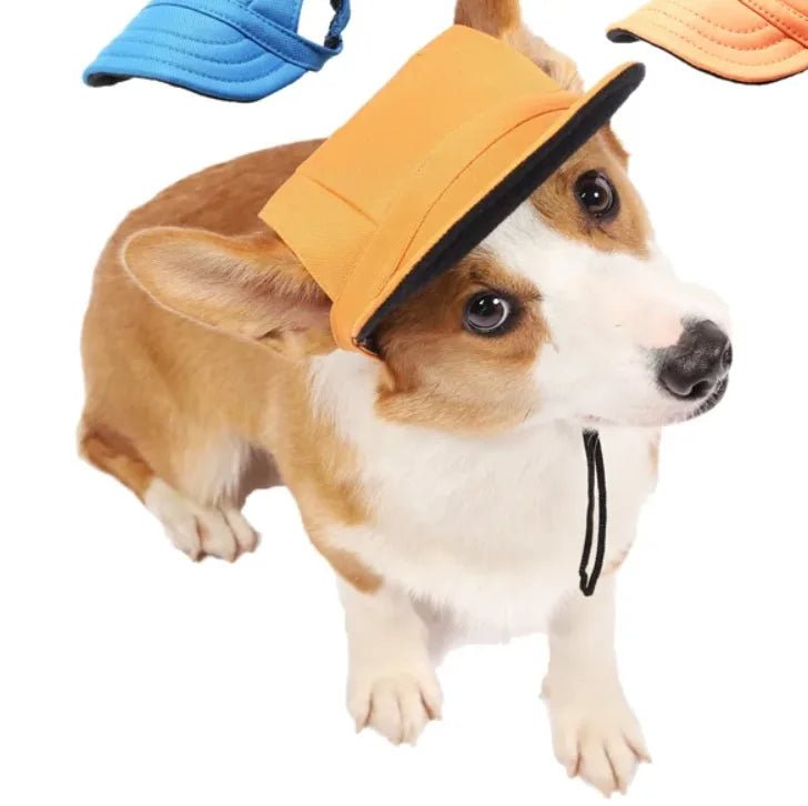 casquette orange sur tete milo regarde camera