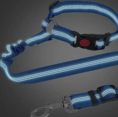  ceinture de securite pour chien reflechissante elastique 