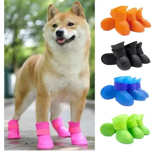 chaussure chien seize paires quatre couleurs