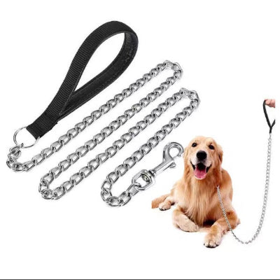chien assis pres une laisse de chien chaine metallique resistante