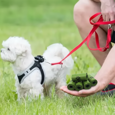 chien blanc avec harnais sac a crotte ecologique