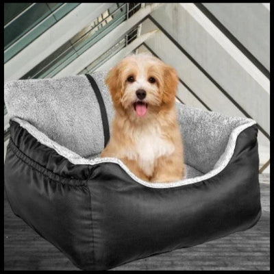 chien installe dans siege auto pour chiens