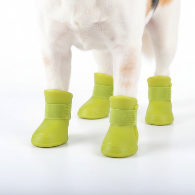 chien portant chaussure chien jaune protection pattes